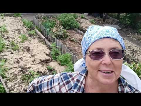 Видео: 15 сентября 2025 г. Причастилась в день именин. Готовим огород к будущему сезону. Отошёл фундамент😳