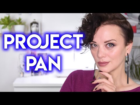 Видео: PROJECT PAN 2025 - использовать и выбросить | Figurista