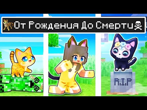 Видео: Майнкрафт но ЖИЗНЬ Девушка Оцелот от ДЕТСТВА до СТАРОСТИ в Майнкрафте Троллинг Ловушка Minecraft
