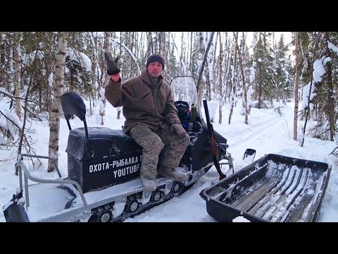 Видео: ОХОТА НА БОРОВУЮ ДИЧЬ В ГЛУХОЗИМЬЕ / ПОХОД В ТАЙГУ НА ЛЫЖАХ / ТРУДОВАЯ ОХОТА.