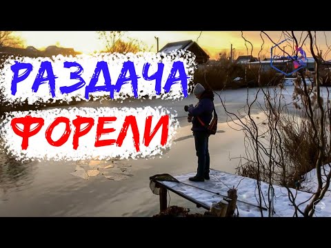Видео: Вот это форелевая раздача! Или чем отличается пассивная форель от активной!