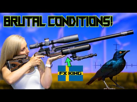 Видео: Супер-снайперская блондинка | FX KING | Борьба с вредителями из пневматического оружия | Смертель...