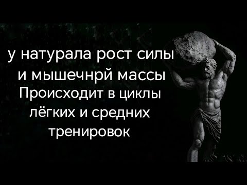 Видео: Количество повторений в подходе в средних, тяжёлых илёгких циклах тренировок у натурала.