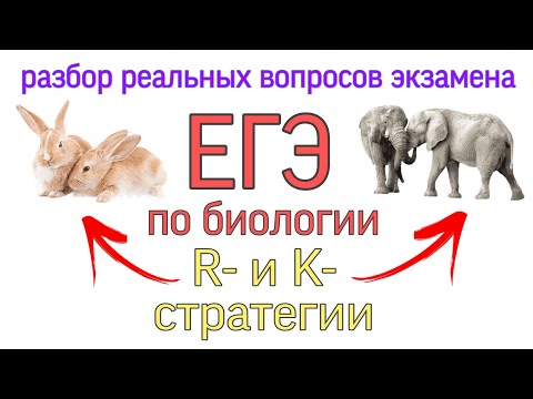 Видео: К- и r-стратегии для ЕГЭ по биологии. Разбор реальных вопросов экзамена. Запоминаем и осмысляем