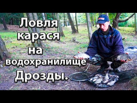 Видео: Ловля карася на водохранилище Дрозды. Рыбалка в Беларуси. Ловля карася на фидер. Рыбалка с ночёвкой.