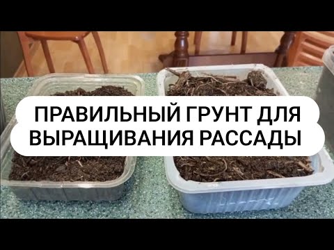 Видео: Лучший плодородный грунт для рассады