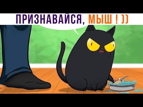 Видео: Комиксы. КОТ КОРАЛ ))) | Мемозг 1132
