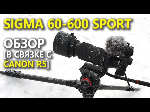 Видео: Обзор объектива SIGMA AF 60-600mm F4.5-6.3 DG OS HSM Sports