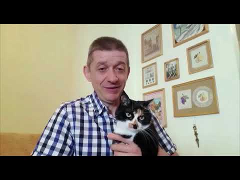 Видео: Общая совместная и общая долевая собственность на жильё. Природа появления. Статистика. Видео №2.