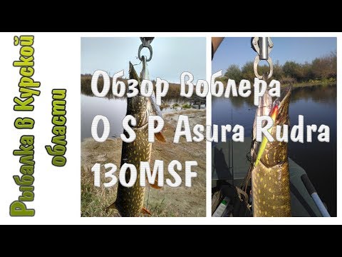 Видео: Обзор воблера OSP Asura Rudra 130 MSF