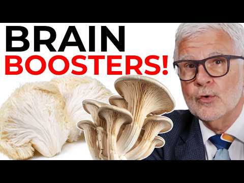 Видео: Гриб №1 для здоровья мозга и тела!