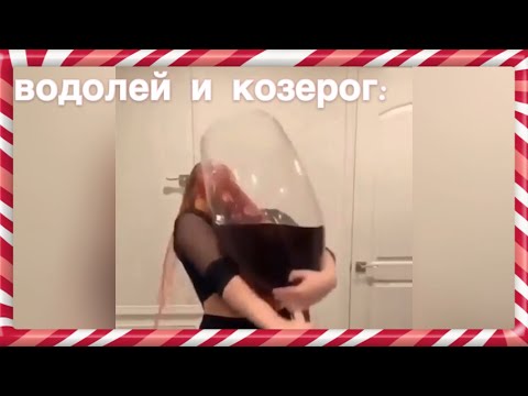 Видео: знаки зодиака на новый год