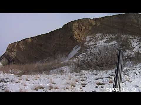 Видео: Охота на зайца. Осечка.