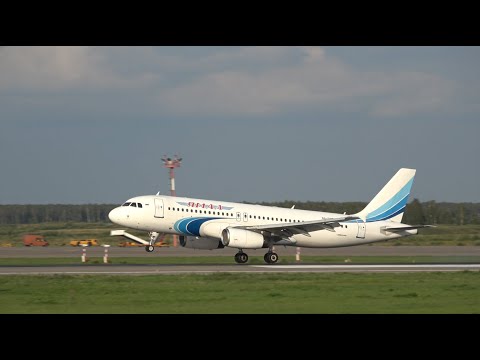 Видео: Два самолета "Ямал" приземляются в Домодедово, август 2025