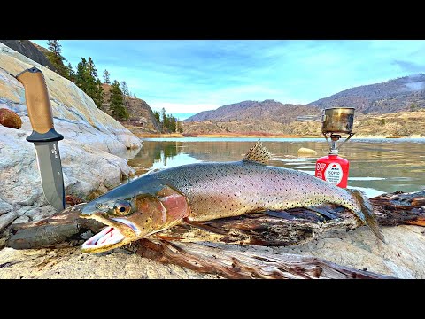 Видео: Поймай и приготовь ГИГАНТСКУЮ форель! Рыбалка в горах, кишащих волками...