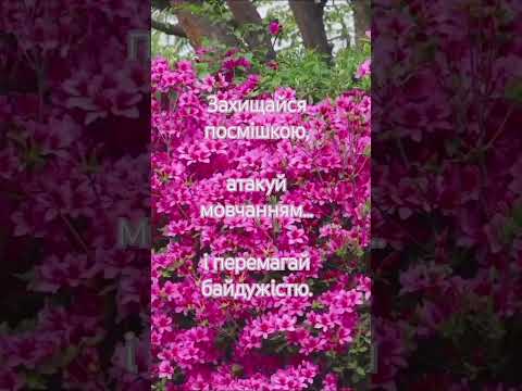 Видео: Духовна психологія.                      #фрази#мудрістьжиття#