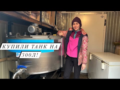 Видео: Готовимся к опоросу. Новшества на молочной ферме. Деревенские будни.