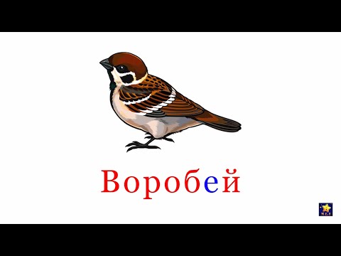 Видео: Птицы для детей | Карточки Домана | Раннее развитие 0+