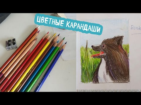 Видео: Цветные карандаши faber castell, dervent, Cretacolor, Lyra, Maped, сравнение и рисование
