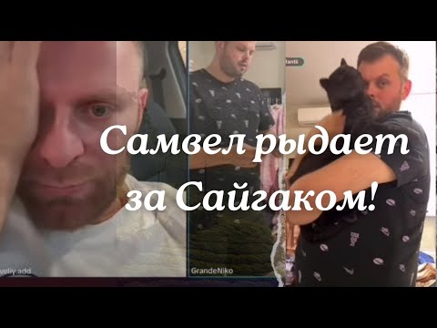 Видео: Коля предложил купить еще одну квартиру рядом и переехать! #самвеладамян#