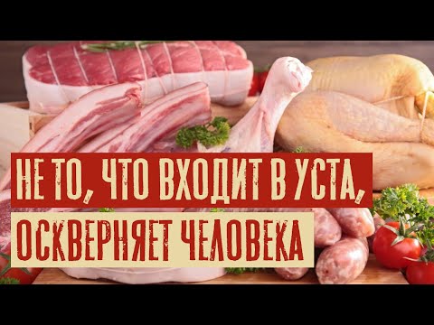 Видео: Hе то, что входит в уста, оскверняет человека | Раввин Михаил Финкель