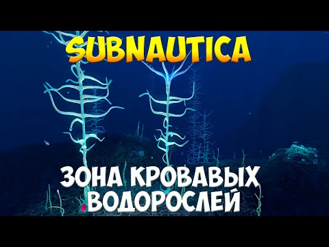 Видео: SUBNAUTICA - ЗОНА КРОВАВЫХ ВОДОРОСЛЕЙ [ПОЛНЫЙ ГАЙД ДЛЯ НОВИЧКОВ]