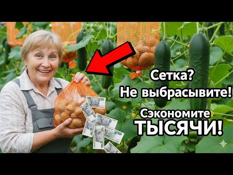 Видео: КУПИЛИ КАРТОШКУ? Погодите выбрасывать сетку! Этот трюк старого огородника сэкономит вам тысячи.