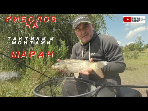 Видео: РИБОЛОВ на ФИДЕР и ВАГЛЕР - ТАКТИКИ и  МОНТАЖИ
