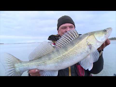 Видео: Рыбалка на тяжёлый джиг. Рыбалка 2018 с AikoLand TV