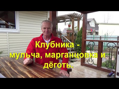 Видео: 55. Клубника - мульча, марганцовка и дёготь.