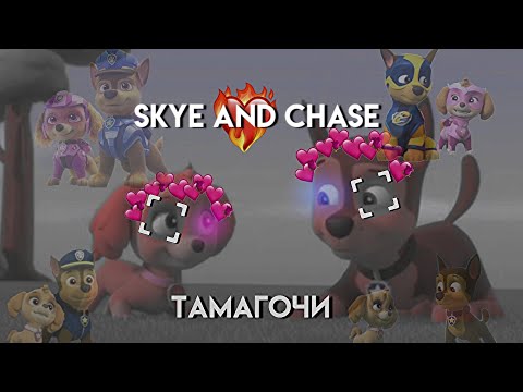 Видео: Скай и Гончик:🌸Тамагочи🌸Skye and Chase:🌸Tamagotchi🌸(чит. Опис.)