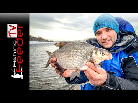 Видео: Рыбалка 2020. ЗИМНИЙ ФИДЕР. Как ловить рыбу в глухозимье. Feederfishing Vlog #45 match fishing