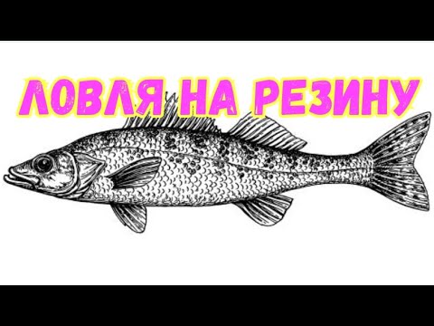 Видео: ЛОВЛЯ СУДАКА. БРАЛА ТОЛЬКО НА НЕЕ