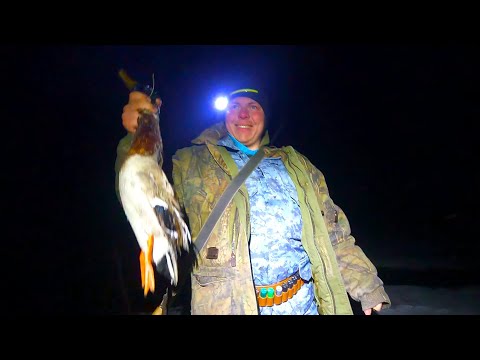 Видео: ВЕСНОВКА 2024 \ Часть 4 \ НОВЫЙ ЗАЕЗД \ ЕСТЬ ПЕРВЫЙ КРЯКАШ