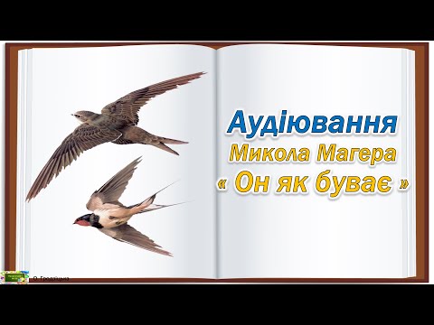 Видео: Аудіювання Микола Магера " Он як буває "