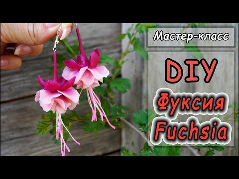 Видео: DIY ❤ Фуксия из полимерной глины ❤ Видео-урок по лепке  ❤ Polymer clay tutorial