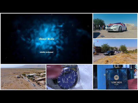 Видео: Туй Шахритус П-55 Аткорма 🇹🇯 2024 тел +992 935322285