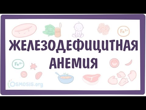 Видео: Железодефицитная анемия (ЖДА) — причины, симптомы, патогенез, диагностика, лечение