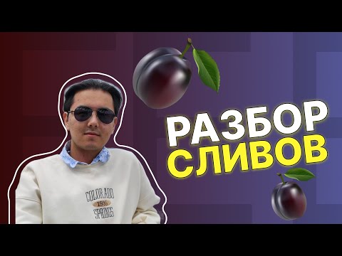 Видео: РАЗБОР МАРТОВСКИХ СЛИВОВ | ЕНТ Биология 2024!
