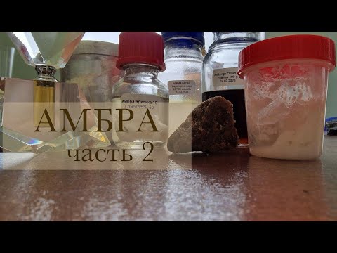 Видео: Парфюмерные дневники Ясина Анвари. Амбра, часть 2
