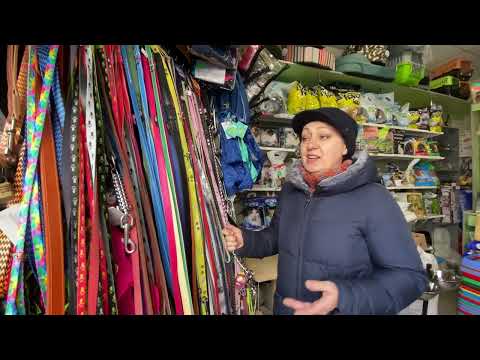 Видео: Почему не металический поводок? Как выбрать поводок? Дрессировка собак