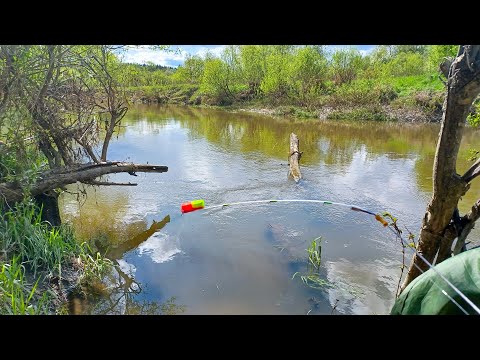 Видео: ОПУСТИЛ мормышку ПОД БРЕВНО а ТАМ КРУПНЯК ЖДАЛ! Рыбалка на боковой кивок в 2025