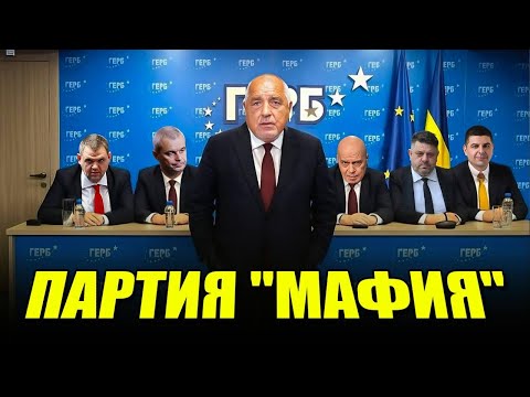 Видео: Цирк “Борисов”