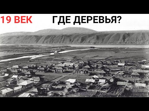 Видео: Куда пропали леса или чем топили печи в 19 веке ?