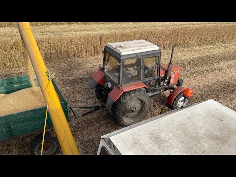 Видео: Sampo 690 + соя