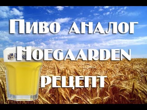 Видео: Аналог Hoegaarden Рецепт светлого пшеничного пива по аналогу знаменитого Hoegaarden Видео 18+