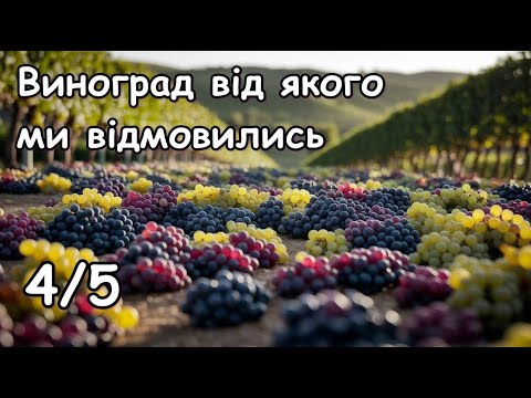 Видео: Виноград від якого ми відмовились 4/5