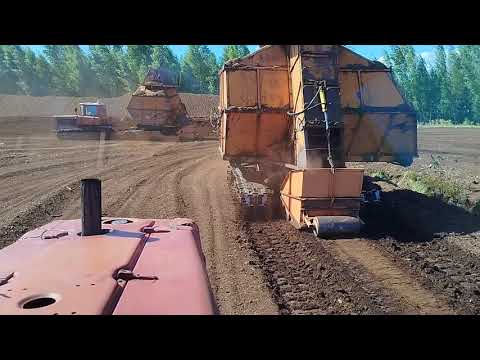 Видео: Уборка фрезерного торфа 2025г