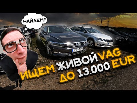 Видео: Ищем ЖИВОЙ PASSAT B8. День АВТОПОДБОРА по ЛИТВЕ.