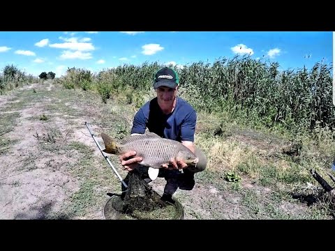 Видео: Хороший отдых на неизвесном водоеме хоть карась порадовал 2022 #рыбалка #отдых #2022